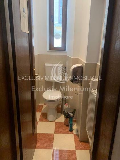 Birouri Cismigiu  /Calea Victoriei - 9