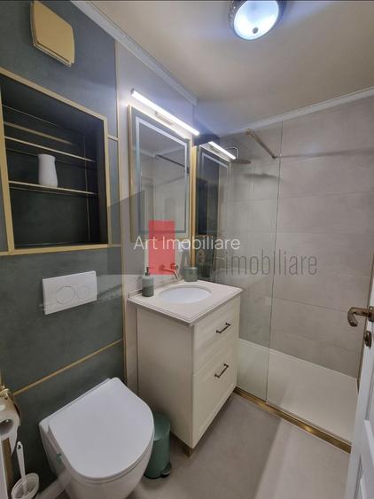 Garsoniera de inchiriat-Dristor - 4