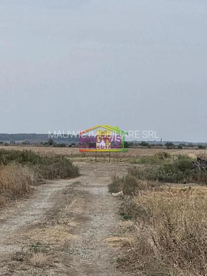 Otopeni /strada Alexandr Ioan Cuza - 3