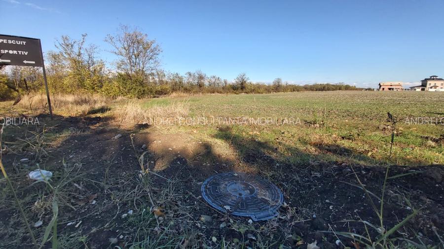 Vanzare 2000 mp, sau 3000 mp sau 5000 mp teren in Gradistea cu acces dinspre A3 - 6