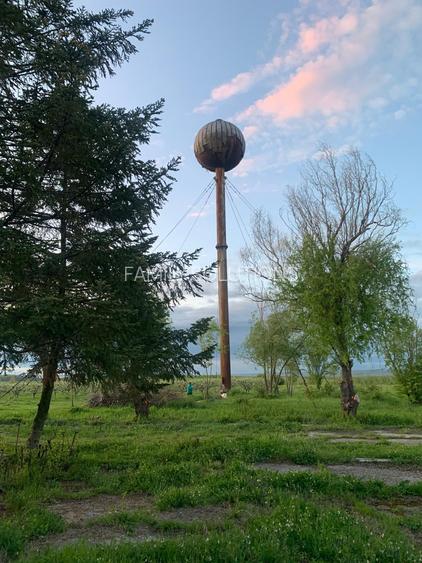 FERMA DE VANZARE! Pomi fructiferi, Bals, Jud Olt - 17