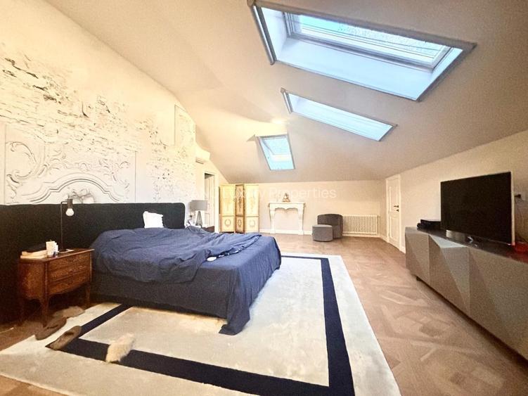 Vila ideala Birouri sau  Resedinta Ambasador/Clinica Lux zona Capitale - 8