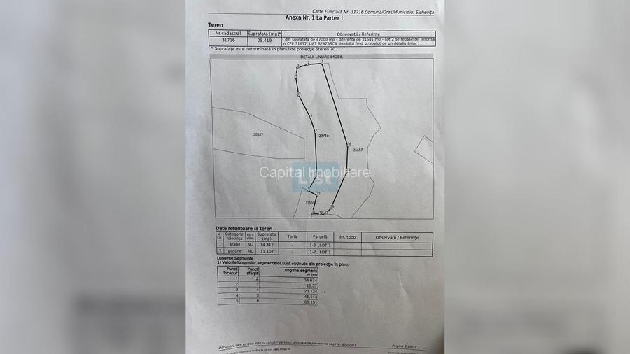 🌳 Oportunitate de Investiție: Teren Extravilan Generos în Sichevița - 2
