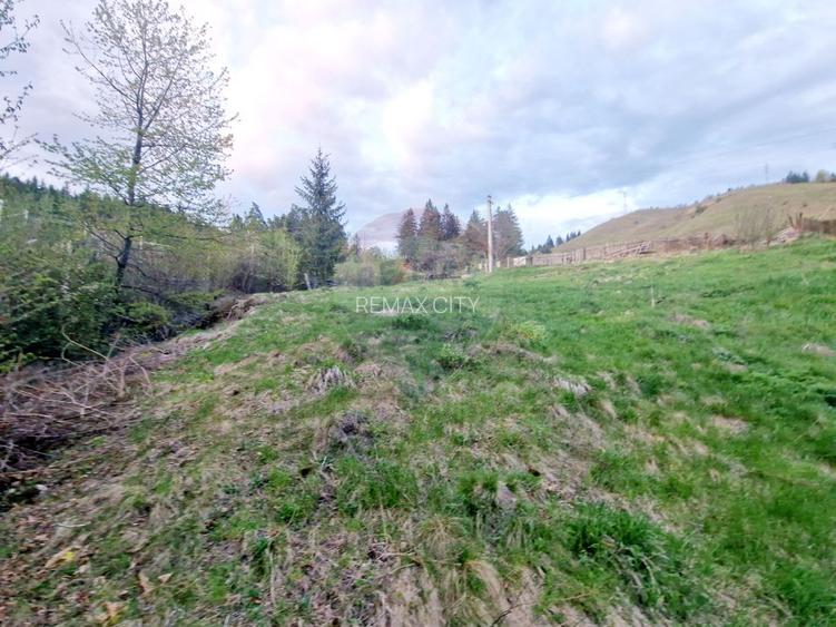 Teren cu vedere la Muntele Ceahlau - 13