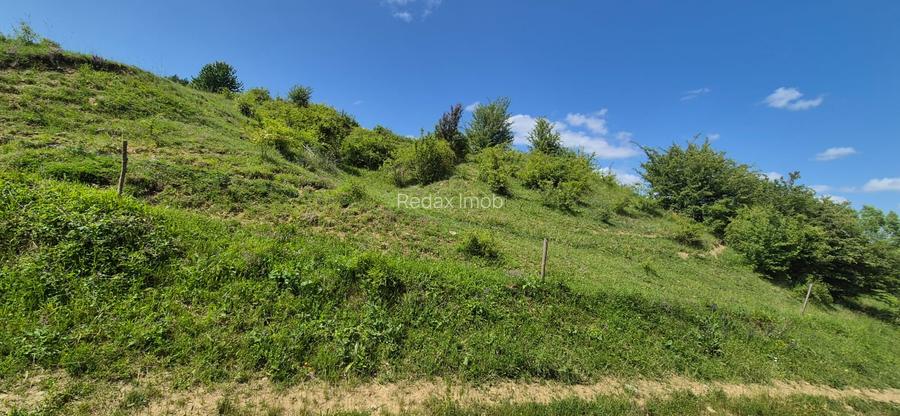 Teren extravilan Tohan cu priveliste - 3