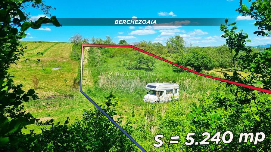 Teren cu panorama superba în Berchezoaia + bonus rulota - 3