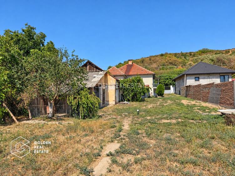 Casa cu teren 1957 mp, comuna Paulis - 19