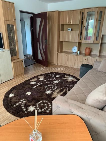 Inchiriere apartament decomodat, 2 camere, NUMAI TERMEN LUNG,  zona Tic Tac - 6