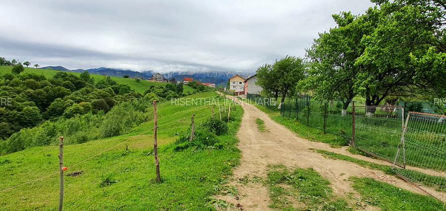 Teren pentru casa de vacanta , Pestera , Brasov - 5