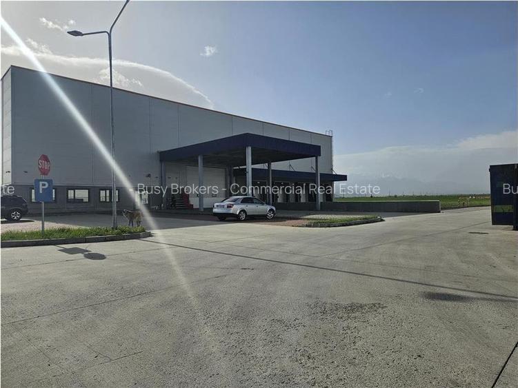 Spatii Industriale - 5000 mp - Logistica - Depozitare - Productie - 15