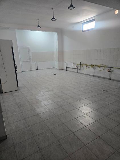 SPATIU DEMISOL 202 MP+CURTE PROPRIE 85 mp