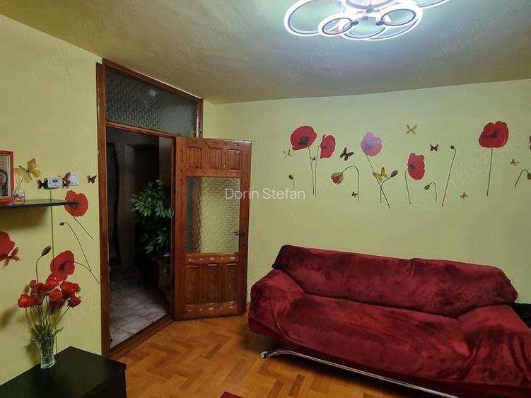Apartament 3 camere, decomandat, Brazda lui Novac - 6