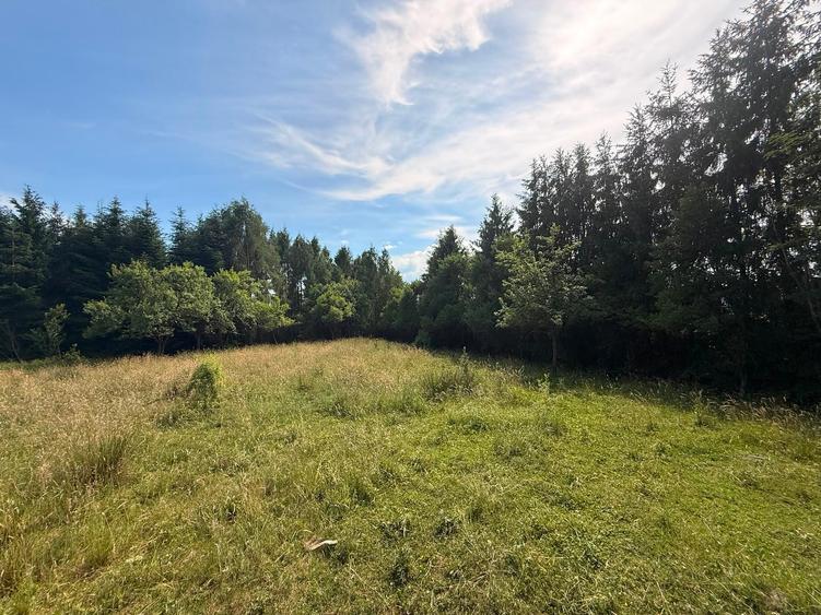 Teren intravilan de 2877 mp în Doboeș, Sighetu Marmației