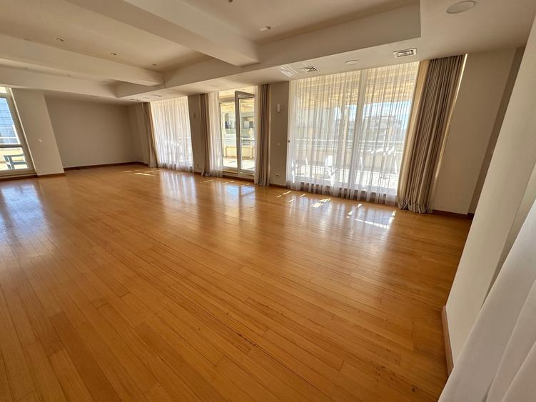 Apartament spatios Herastrau