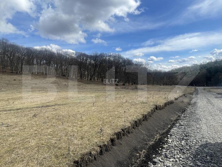 Teren extravilan de vanzare, 2,4 hectare, zona drumul Tarpiului - 2