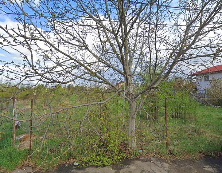 Teren Intravilan 2953 mp – Ideal Proiect Rezidential | Alexandriei