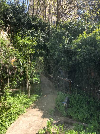 De vanzare casa curte comuna pe str Aurel Vlaicu 5 min Stefan cel Mare