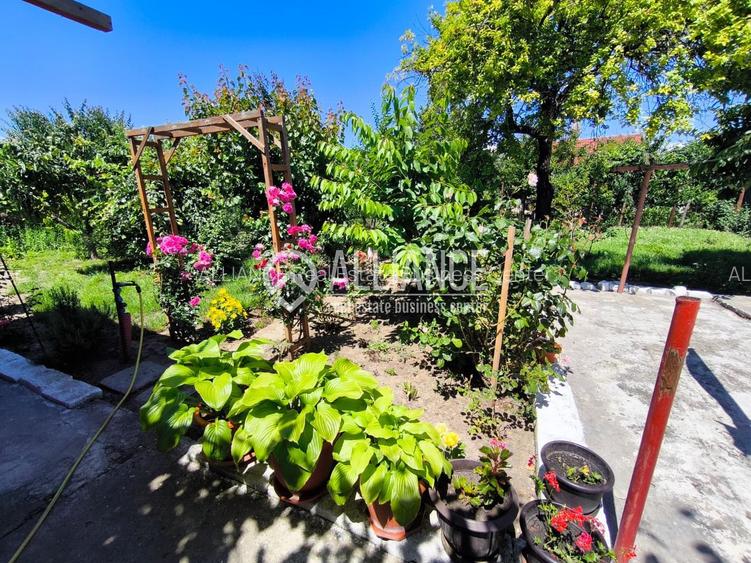 VIILE NOI - casa cu o curte generoasa disponibila imediat - 20