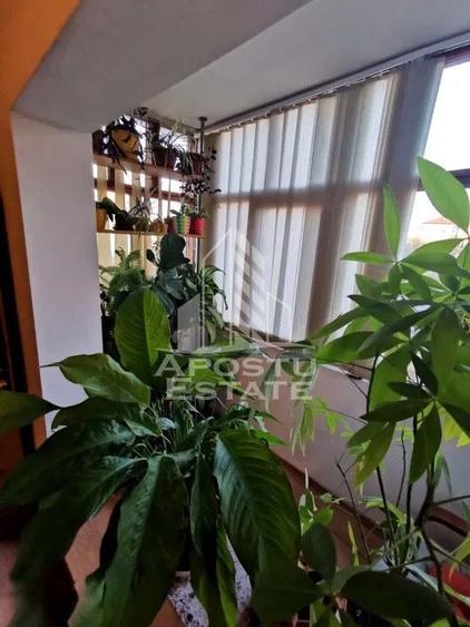 Apartament cu 3 camere de vanzare, 2 bai, zona Dambovita, Timisoara