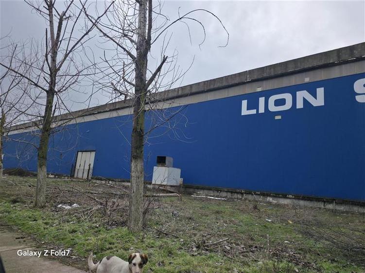 Vanzare spatiu industrial/hala/depozit Giurgiu - Port, Giurgiu