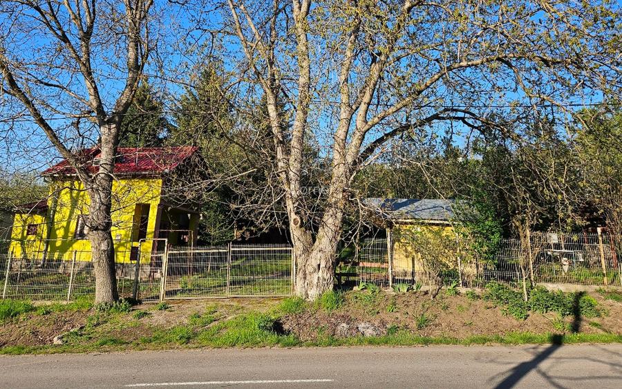 Proprietate 4200 mp Căndărăi cu cabană, livadă și anexe - 6