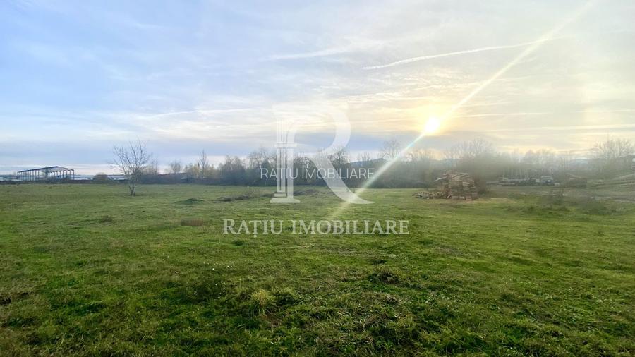 EXCLUSIV | TEREN INTRAVILAN | INVESTIȚIE | BEIUȘ – STR. PLOPILOR | 13.500 MP - 2
