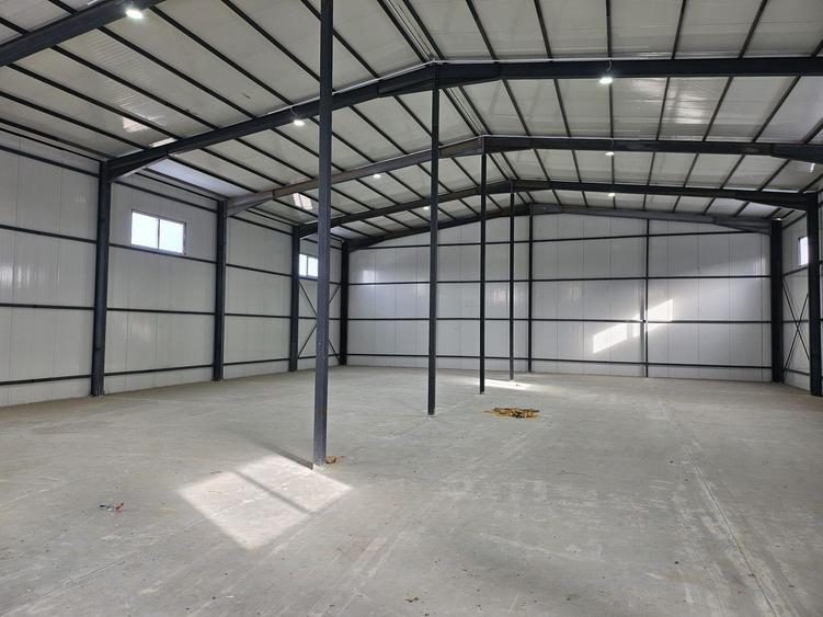 Hale noi 2026 AFUMATI ( Moara Domneasca ) 2300 Euro