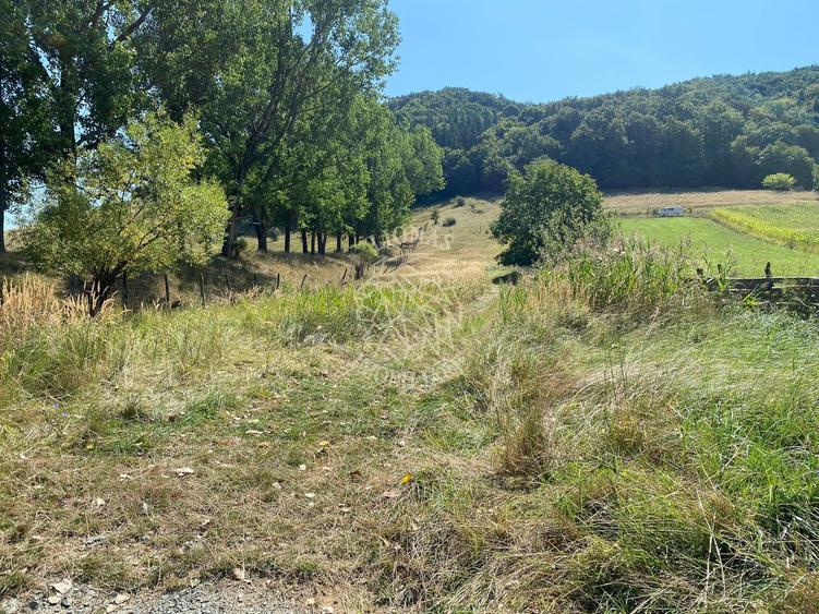 Teren intravilan 2600 mp - pretabil casa/investitie-Zona Aerodrom