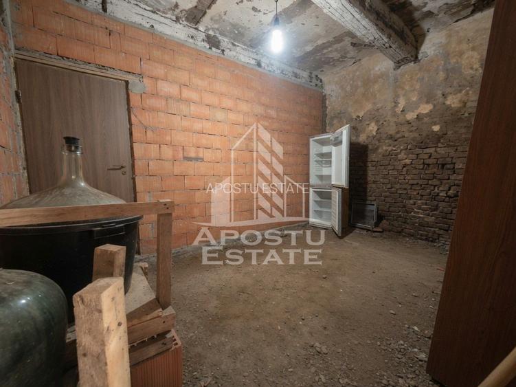 Se vinde casa in Teremia Mare, renovata, teren generos de 1.439 mp - 12