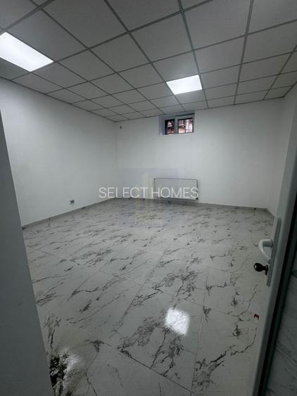 Spatii de birouri de inchiriat | stradal *Cismigiu* - 2