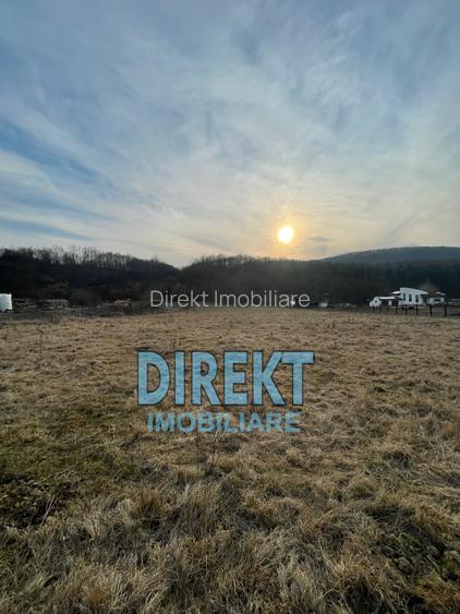 Teren de vanzare, localitatea Sirioara - 2