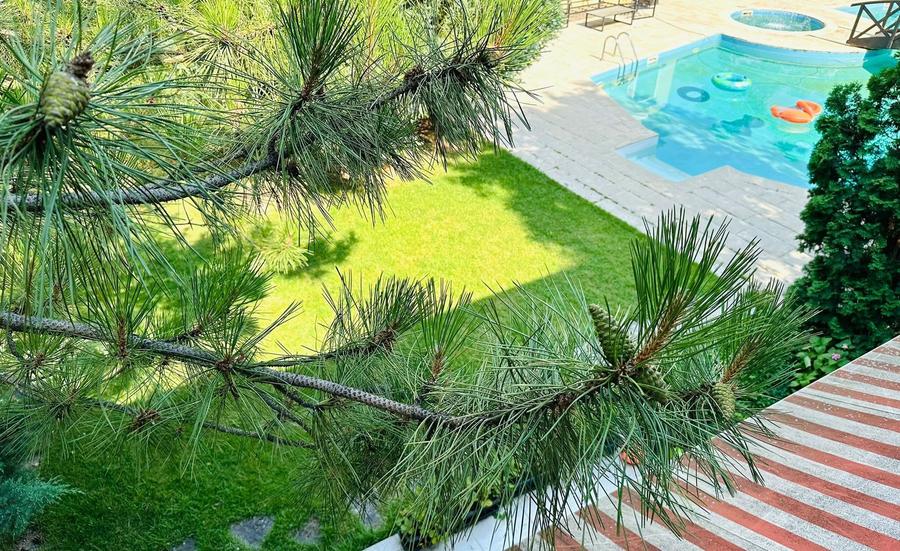 CORBEANCA - PARADISUL VERDE, VILA DEOSEBITA 5 CAMERE, PISCINA/GARAJ
