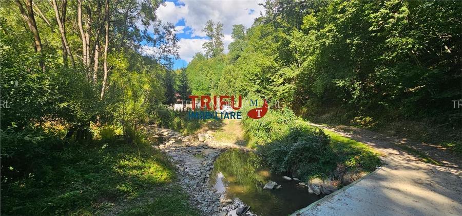 Cabana de vânzare în Intregalde – 5 camere, 1.200 mp teren si ciub - 26