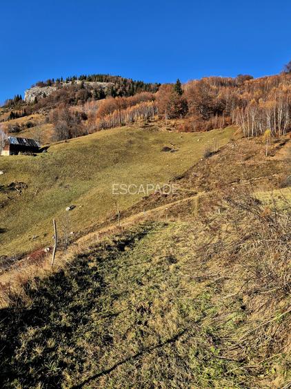 Teren de vânzare în sat Măgura/ Brasov– loc pentru familie, liniște și suflet - 22