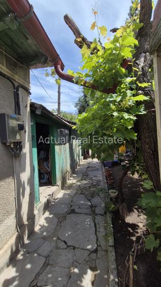 CARAMIDA | TOMIS 1 | ZONA PREMIUM - 4