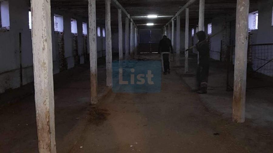 Ferma langa Oravita 5600 mp construiti si teren 24281 intravilan