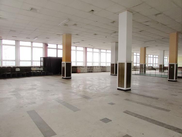 Diverse activitati comerciale si office
