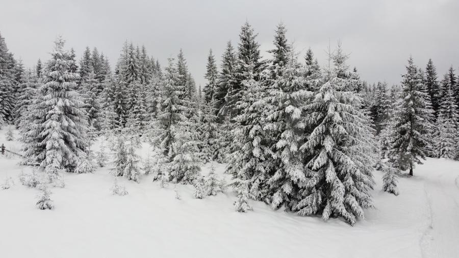 Teren 2600mp - Partia Marisel - intravilan, la 5 minute de partia de ski-CU PUZ