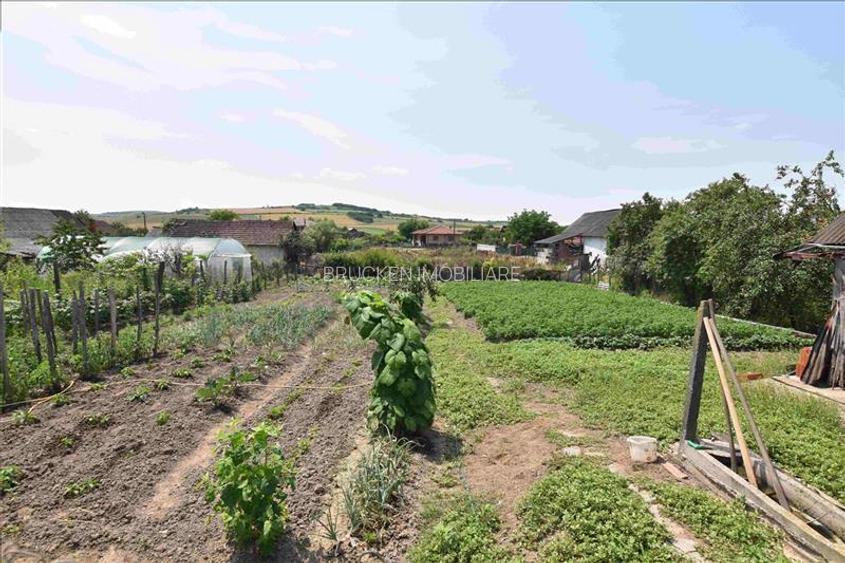 Casa P+M de vanzare in Pagaia - 13