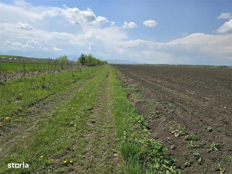 Oportunitate de investiție cu Exclusivitate! BOD, teren agricol!