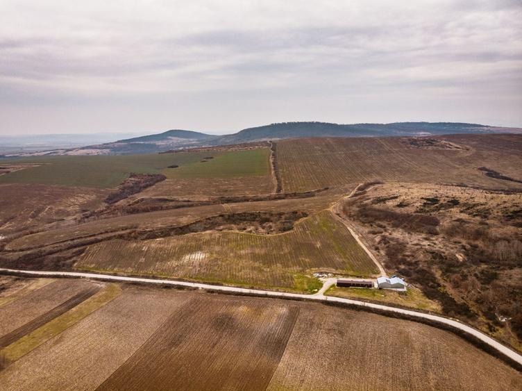 Vie de 115 Hectare în satul Dud, județul Arad
