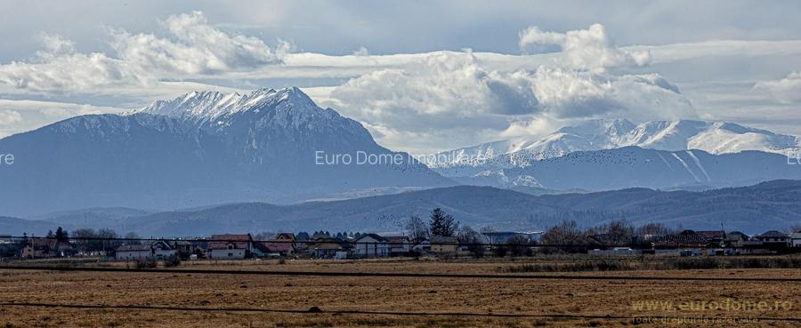 Casă nouă, intrare Stupini - 2
