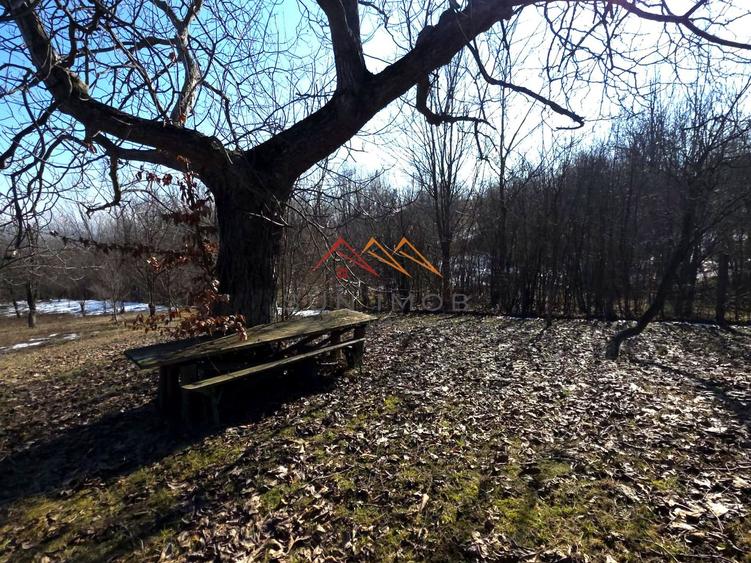 CASĂ INDIVIDUALĂ CU LIVADĂ | 2.195 MP TEREN | POIANA CÂMPINA
