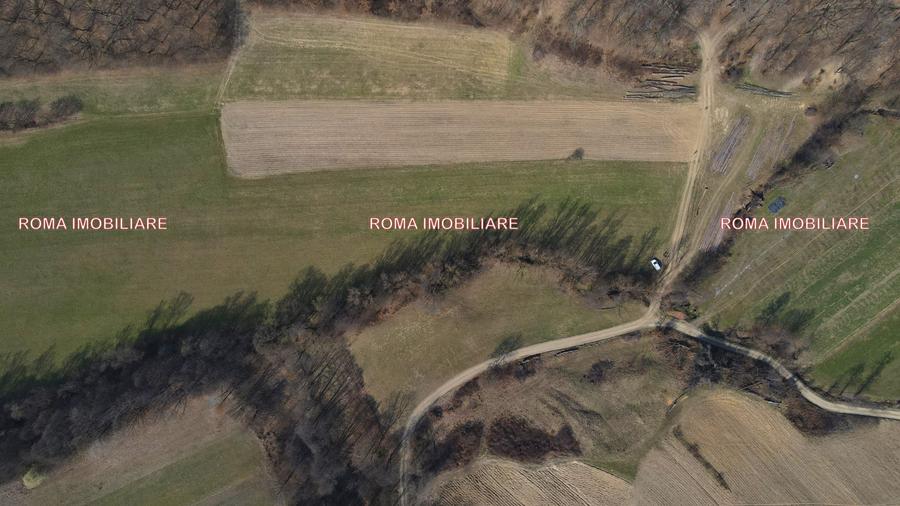 Teren superb de vânzare în Dumbrăvița – 3.750 mp