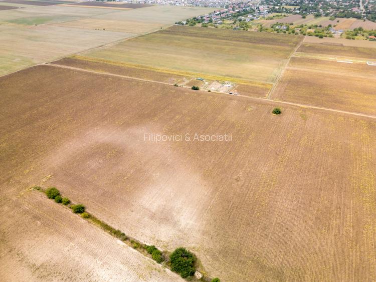 DASCALU – TEREN INTRAVILAN 11300 MP, INVESTITIE! - 16
