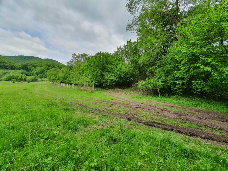Teren Rasnov – Predeal zona de pensiuni