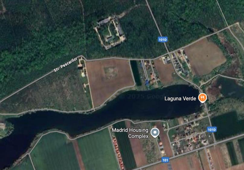 Teren de vânzare cu acces direct la lac, între pădure și apă – Moara Vlăsiei