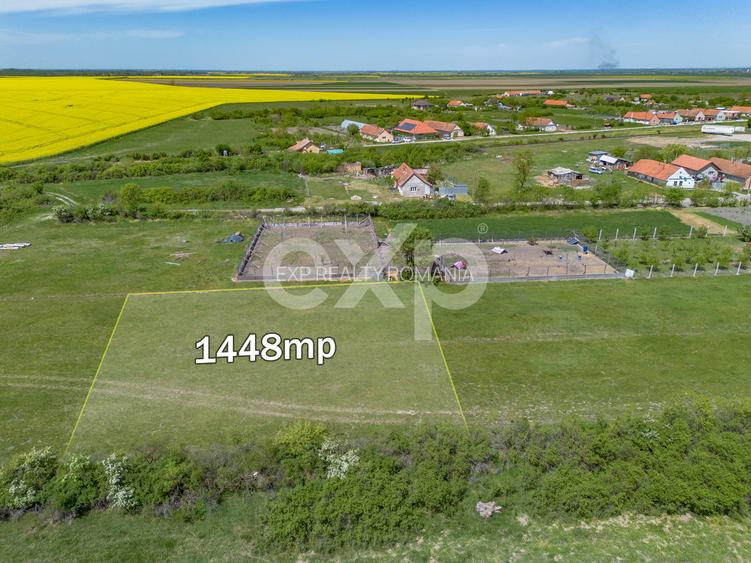 DE VÂNZARE: 1.448 MP DE „LINIȘTE PURĂ” LA NIȚCHIDORF - 2