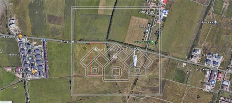 Teren intravilan de 10.000 mp, Calea Surii Mici - 2