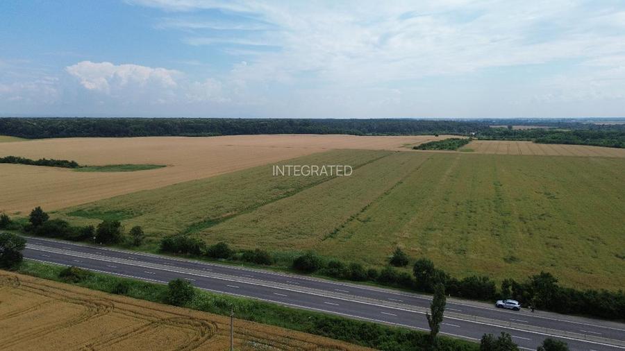 Ciolpani, Teren intravilan 4.5 Hectare - 6